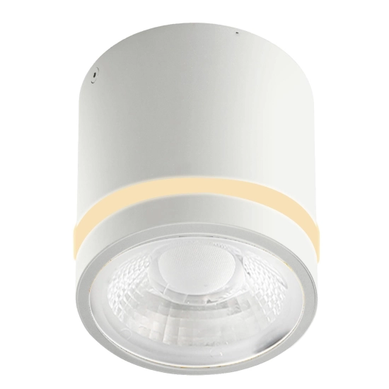 VICI IP44 12W CCT SWITCH WH AZ6040 AZZARDO